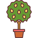 Potted lemon tree vector icon